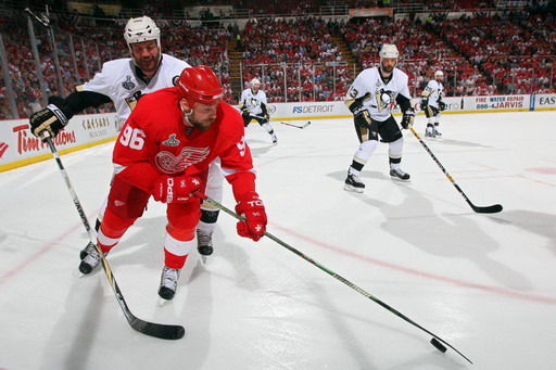 Tomas Holmstrom, Hal Gill