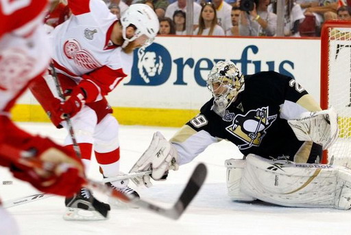 Daniel Cleary, Marc-Andre Fleury