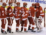 Detroit Red Wings