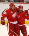 Johan Franzen, Henrik Zetterberg