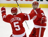 Nicklas Lidstrom Valtteri Filppula