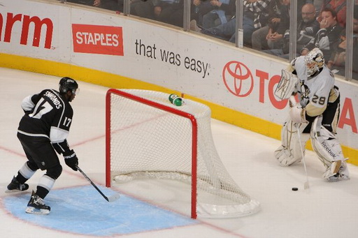 Marc-Andre Fleury, Wayne Simmonds