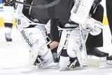 Marc-Andre Fleury