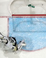 Marc-Andre Fleury