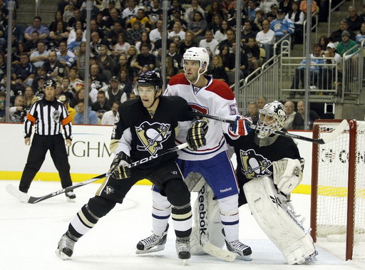 Benoit Pouliot, Marc-Andre Fleury, Zbyněk Michálek