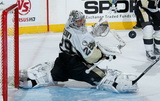 Marc-Andre Fleury