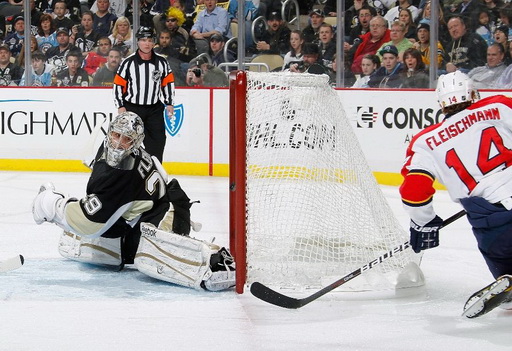 Marc-Andre Fleury, Tomáš Fleischmann