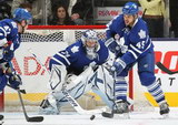 Leo Komarov, James Reimer, Mark Fraser